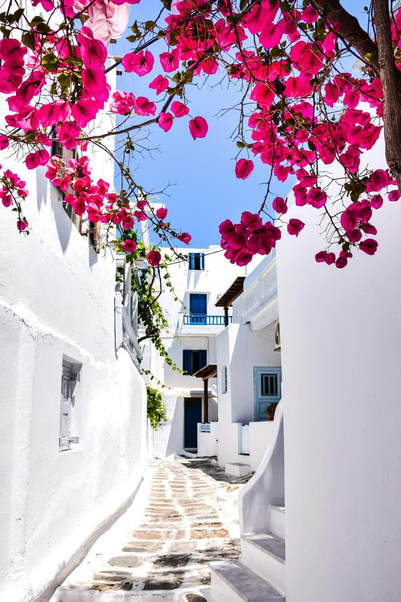 Aniko Suites White Alley Mykonos Town Екстериор снимка